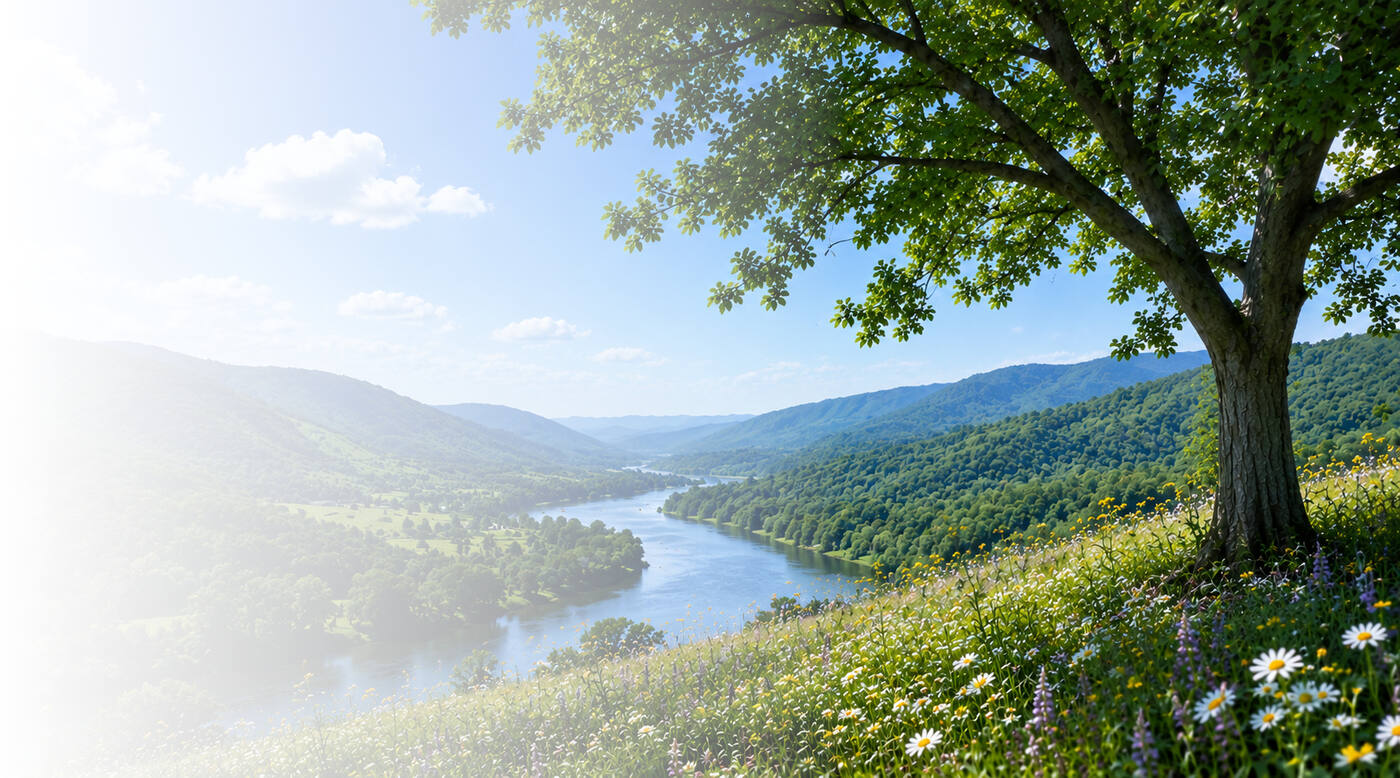 Mountain river landscape