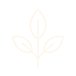 Nourish