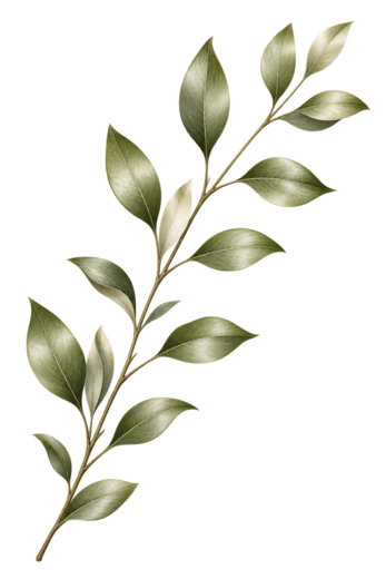 Decorative leafy branch on the left of How RENEW Helps